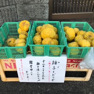 柚子,獅子柚子,鬼柚子,ユズ,果物の画像