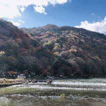 旅行の画像 by ゆみさん | お出かけ先と紅葉と癒しと旅行と京都とお散歩ともみじ紅葉