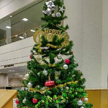 １２月の画像 by Jun.cyさん | お出かけ先とクリスマスツリーと１２月と図書館のクリスマスツリー