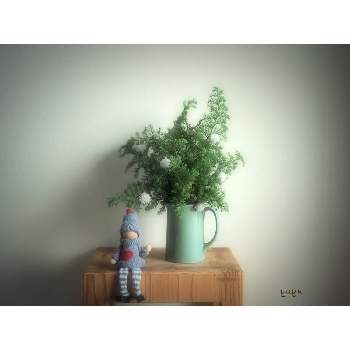 サツマスギの画像 by ゆゆさん | 玄関とサツマスギとゆゆのお家を彩るお花たちと＃共に乗り越えましょう。と花のある暮らしとわたしのテーブルプランツ