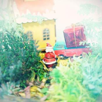 サンタさんの画像 by Solaさん | 部屋とハコニワとサンタさんと寄せ植えと冬のいろとカメラアソビとGS映えとGS日和と植中毒と思い付くままにとクリスマス