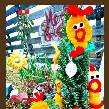 キモカワ専門店会員の画像 by PANDA✨さん | キモカワ専門店会員とクリスマス月間とｷﾓｶﾜ倶楽部とにぃさんの日と繋がりに感謝✨