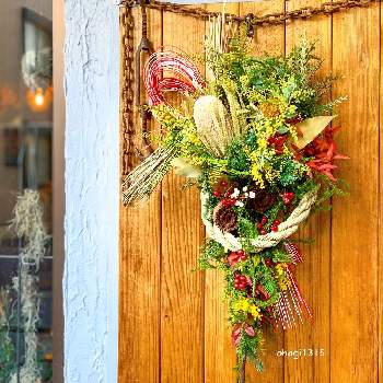 花や蔦ひつじの投稿画像一覧 Greensnap グリーンスナップ