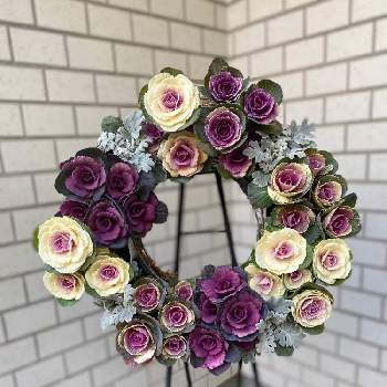 ハンギングバスケット,日比谷公園ガーデニングショーの画像