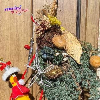 チキンでクリスマスの画像 by rinrin♪さん | クリスマス月間とチキンでクリスマスとにぃさんの日とかわちいとクリスマススワッグとクリスマス