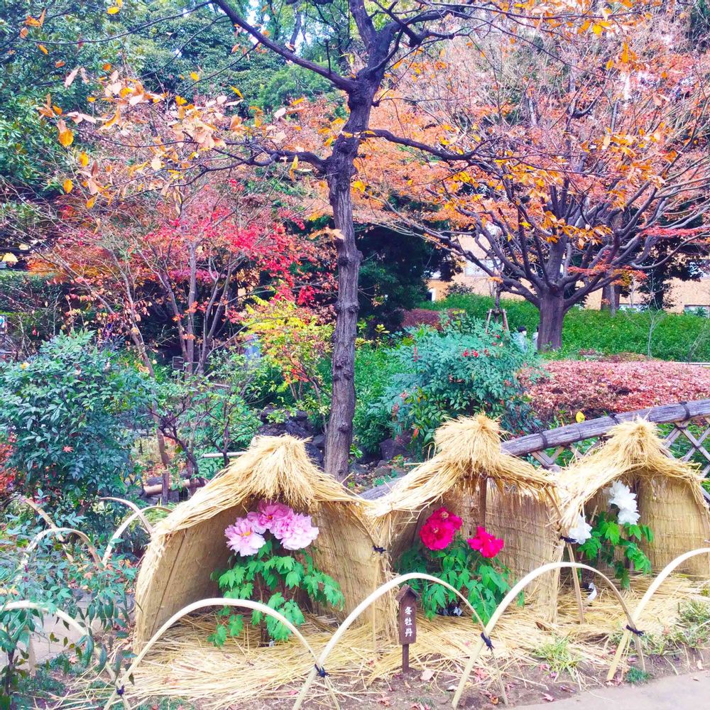 【公式】ガーデンネックレス横浜さんの横浜公園への投稿