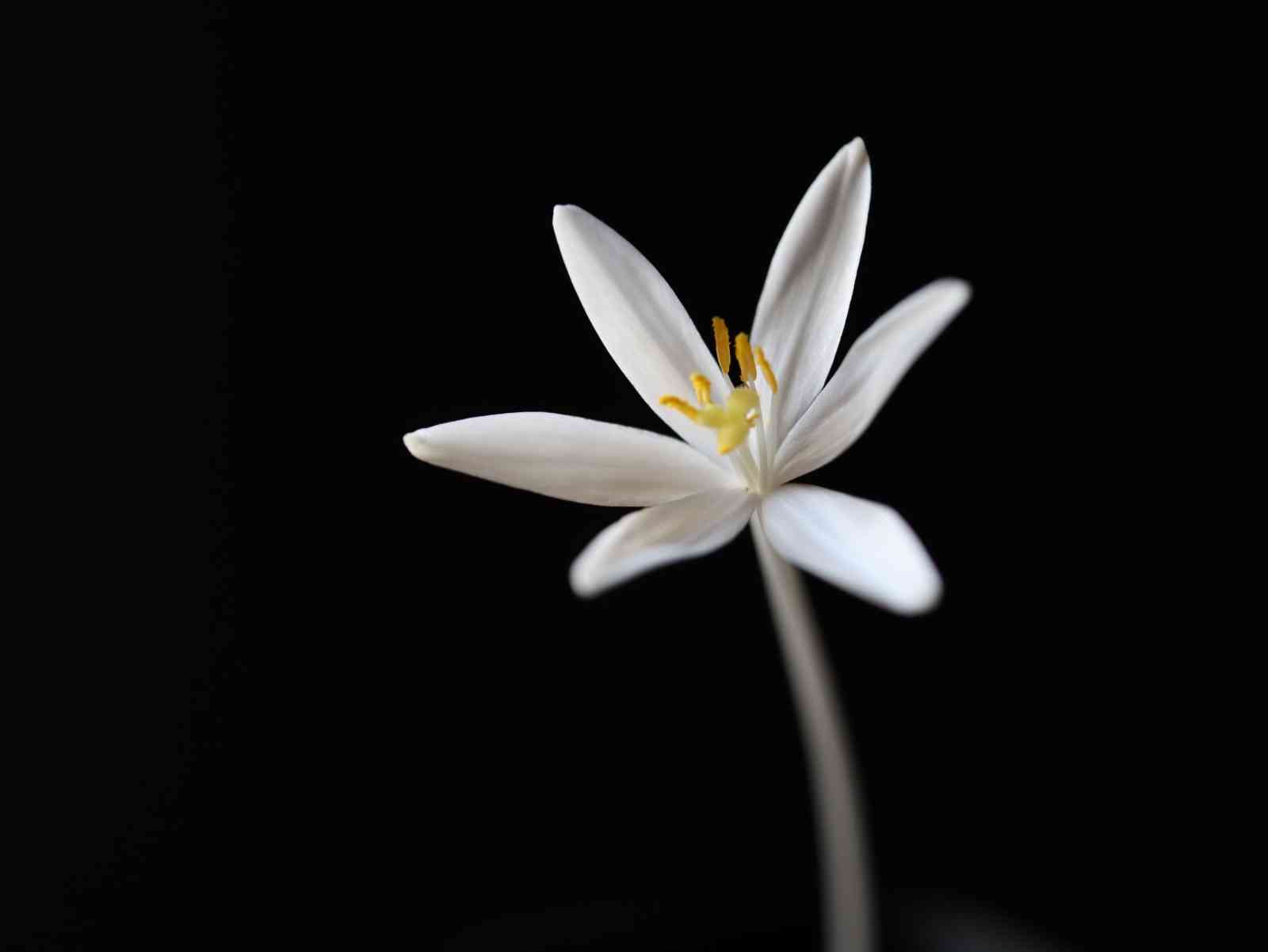 1640262672293_554659_20211223_