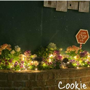 もうすぐクリスマス❤️の画像 by Cookieさん | エントランスと12月とわれら17年組とクリスマスとやっぱり花が好き♡ともうすぐクリスマス❤️と妄想倶楽部