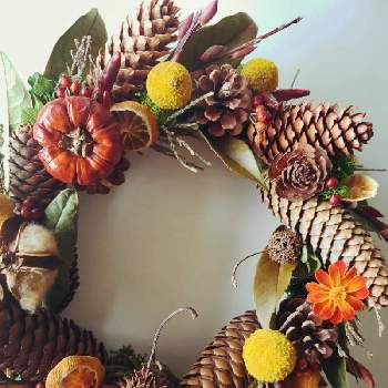 木の実のリースの投稿画像一覧 Greensnap グリーンスナップ
