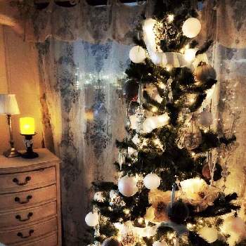 クリスマスツリー♡の画像 by guriguraさん | 窓辺ともみの木とクリスマスツリー♡とポインセチアとクリスマスツリーと憩いの場とイルミネーションとありがとう♡とオーナメントと小さな幸せ♡と家族のイベントとクリスマスとクリスマスイブ☆