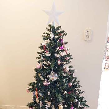 クリスマスツリー♡の画像 by しゅうさん | インテリアとクリスマスツリー♡とクリスマスと北海道とクリスマスツリーと真冬