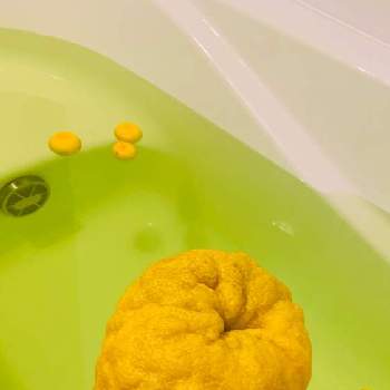 花ゆずの投稿画像一覧 Greensnap グリーンスナップ