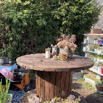 ケーブルドラムの画像 by ぽってりさん | 小さな庭とケーブルドラムと『ケーブルドラム』