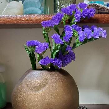 花瓶入れただけの画像 by よだかさん | 部屋と植物のある暮らしと投げ入れとお気に入りの花瓶と花瓶入れただけとスターチス。と花瓶投げ入れと花のある暮らしと紫の花