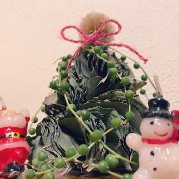 P野坊の画像 by ピノコさん | スカビオサとユーカリ ポポラスとグリーンネックレスとクリスマスとクリスマスツリーと飾るとあたしんちとP野坊
