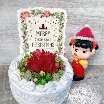  赤鬼城の画像 by maronchanさん | 癒しの時間と 赤鬼城とペコちゃん祭りとクリスマス月間とお気に入り♡と多肉ケーキとかわいいな♡