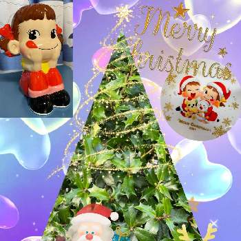 サンタさんの画像 by ゴン太さん | 小さな庭とサンタさんとペコちゃん祭りとクリスマス月間とMerry Christmasと赤鼻のトナカイ
