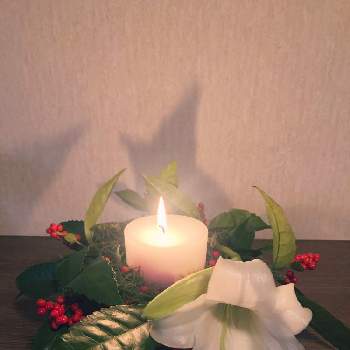 キャンドルの画像 by 智花さん | 部屋と百合とホワイトキャンドルと千両とコニファー*と癒しと冬の花とキャンドルと花のある暮らしとクリスマス