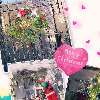 クリスマスリースの画像 by michelleさん | 小さな庭とガーデニングクリスマスとクリスマスディスプレイとリースとクリスマス寄せ植えとクリスマスリースとクリスマスアレンジとクリスマス