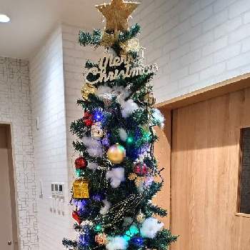 １２月の画像 by Jun.cyさん | お出かけ先とクリスマスツリーと１２月とクリスマスの電飾