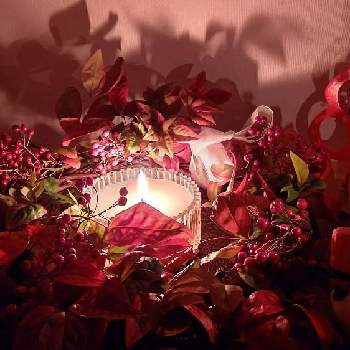 クリスマスリースの画像 by natsumenobabaさん | 玄関とクリスマスリースと植物雑貨と植物雑貨♪