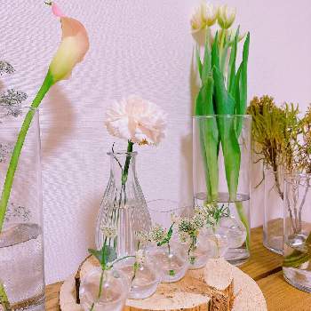 花の飾り方の画像 by niki 可愛いお花屋さんが好きさん | カーネーションと花の飾り方とガラスの花瓶とお花のある生活と花は癒やし♡と切り花