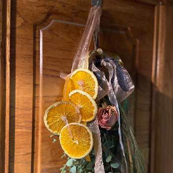 ドライ オレンジの画像 by spring511さん | 玄関とバラとドライ オレンジとユーカリとOrangeとrose