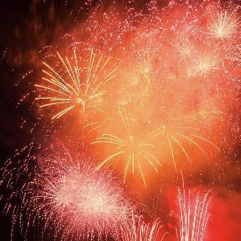 花火大会の投稿画像一覧 Greensnap グリーンスナップ