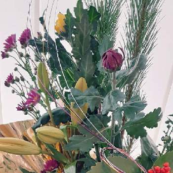 お正月準備の画像 by niwaさん | お出かけ先と花のある風景とフラワーアレンジメント教室とお正月準備とフラワーアレンジメントと花のある暮らし
