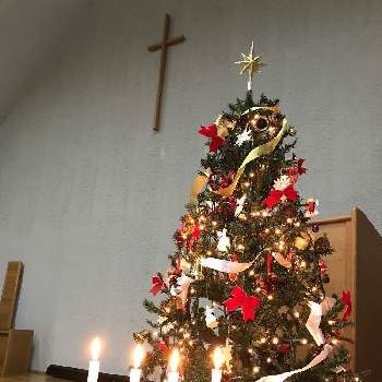 クリスマス雑貨の画像 by さとりんさん | エントランスとガーデンシクラメン♡とツリーとクリスマスキャンドルとアドベントカレンダーとクリスマスイルミネーションとカントダウンとアドベントとクリスマス月間とクリスマスシーズンとキャンドルアレンジと教会とクリスマスディスプレイとキャンドルとクリスマス雑貨と赤い花と花のある暮らしと電飾とクリスマスアレンジと礼拝堂の花とクリスマス
