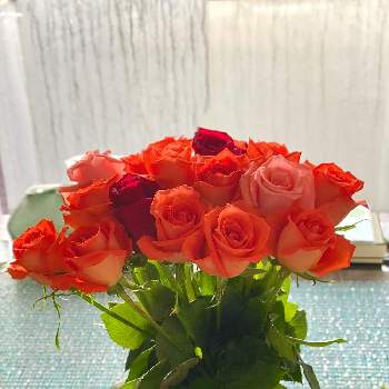 ミニ 薔薇の画像 by Kay_Tama-gskさん | 部屋とミニ 薔薇とカラフルとオレンジ色の花と花瓶と鮮やか とオレンジ色と花束とわたしのテーブルプランツ