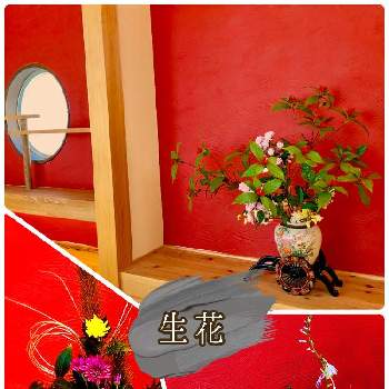 お正月花の画像 by hinamama ♡さん | 寝室と過去の生花とセンスが欲しいと朱色の和室と床の間と生花と寝室和室とお正月花