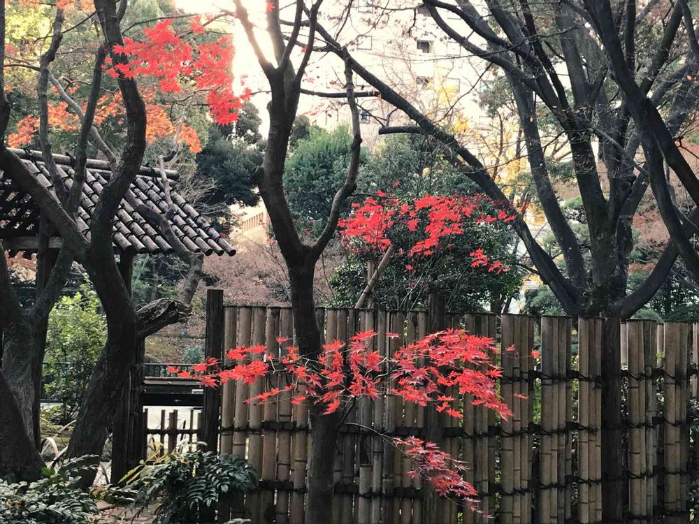 baramashさんの横浜公園への投稿