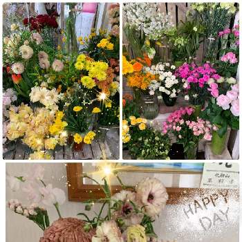 素敵なお花屋さんの画像 by ウィルママさん | お出かけ先と玄関花とお花屋さんは春と可愛い❤とスイートピー☆と心が落ち着く♡と❇︎ラナンキュラスとお花に癒される日々と素敵✨と素敵なお花屋さんとマム♪と綺麗✨と花のある暮らし❤️とスターチス♪