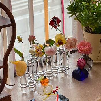 お正月準備の画像 by H1207さん | インテリアと薔薇とばら バラ 薔薇とバラのある暮らしと花を飾るとガラスの鏡餅とお正月準備と鏡餅