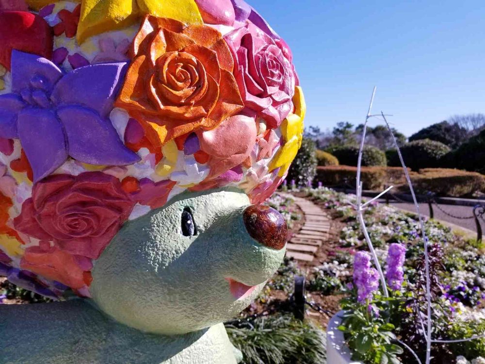 エリィさんの港の見える丘公園への投稿