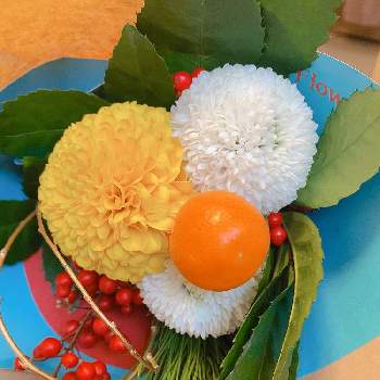 正月アレンジの画像 by hiroさん | 部屋と金柑と南天と若松と白い花と黄色の花と正月アレンジと青山フラワーマーケット