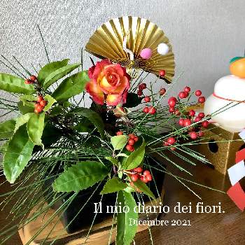 ミニ 薔薇の画像 by AKKOさん | 玄関とミニ 薔薇と松の葉と南天と千両と可愛いと癒しと花のある暮らし