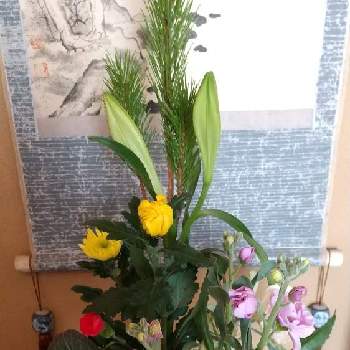 正月用生け花の投稿画像一覧 Greensnap グリーンスナップ