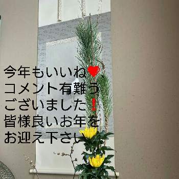 竹 たけの画像 by ぷりんちゃんさん | 和室と梅(うめ)と竹 たけと松 まつと千両と菊 きくと蝋梅(ロウバイ)と花のある暮らし
