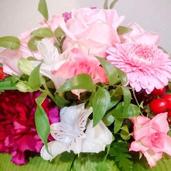 今日の気分の画像 by らなたんさん | 部屋と生花アレンジメントと金曜日の蕾たちと好きな色と今日の気分といつもありがとうとピンクのお花といい香り♡