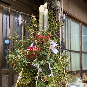 お正月門松の画像 by たなかさん | 玄関とタケとロウバイとお正月門松とナンテンとマツ