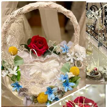 リングピローの投稿画像一覧 Greensnap グリーンスナップ