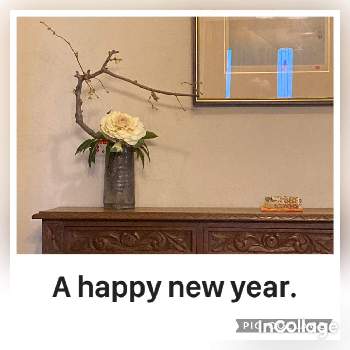 ドラセナ,タニワタリ,ニューサイラン,切り花,フラワーアレンジメントの画像