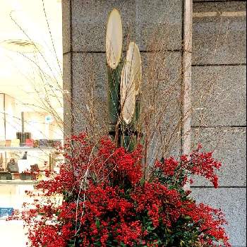お正月門松の画像 by まみさん | お出かけ先とお正月門松と南天と赤い実とスマホ撮影と赤い魅惑