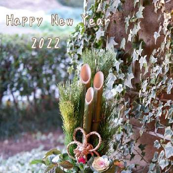 門松寄せ植えの画像 by fukuさん | 玄関とお正月門松と門松寄せ植えとGS映えとおうち園芸とガーデニングと花のある暮らしとかわいいな♡