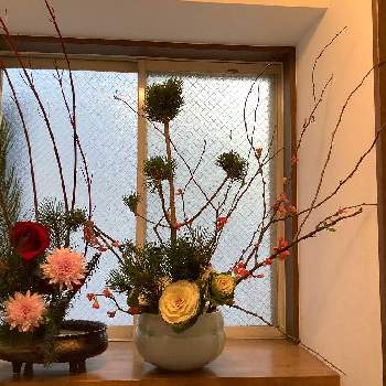 正月アレンジの画像 by ムーミンの先祖さん | 玄関と正月飾りと正月と正月アレンジと正月花