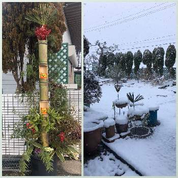 手作りの門松の画像 by りえさん | 広い庭と門松  と緑に癒されると緑のある暮らしと雪の庭と雪の日と花が好きと手作りの門松