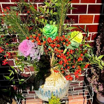 正月玄関飾りの画像 by あっこさん | 玄関と若松とお正月飾りとお正月と今日のお花とお正月アレンジと正月玄関飾りとお正月生花