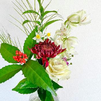 お花女子の画像 by mochiさん | 癒しとお花女子とお正月とハナカジとメルシーフラワーとスーパーのお花コーナーでと花が好き